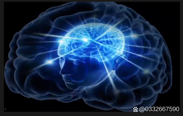 某顶流明星深夜被拍与神秘女子同乘豪车，经纪公司紧急回应